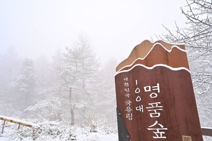 만항재 여행 추천 - 메고지고