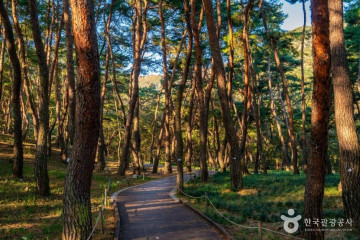 해운사(구미) 여행 추천 - 메고지고