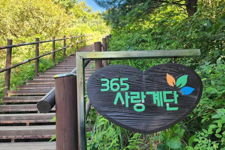 무학산 여행 추천 - 메고지고