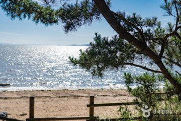 궁평관광지 여행 추천 - 메고지고