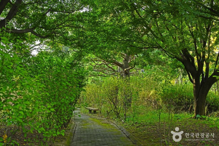 효행공원 여행 추천 - 메고지고