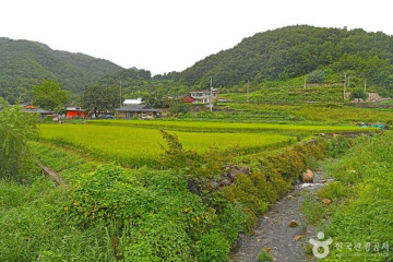 두타산 여행 추천 - 메고지고