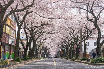 가새기오름 여행 추천 - 메고지고