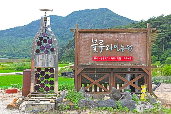 영동블루와인농원 여행 추천 - 메고지고