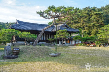 달성 태고정 여행 추천 - 메고지고