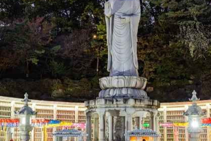 봉은사(서울) 여행 추천 - 메고지고