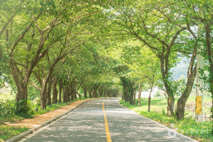 차리마을 여행 추천 - 메고지고