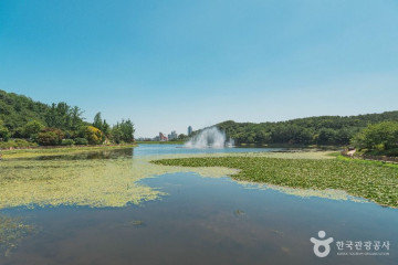 경기도자미술관 여행 추천 - 메고지고