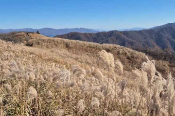 덕산계곡 여행 추천 - 메고지고
