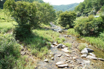 강원숲체험장 여행 추천 - 메고지고