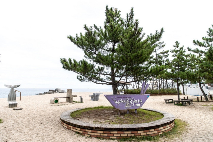 사천해변(사천해수욕장) 여행 추천 - 메고지고