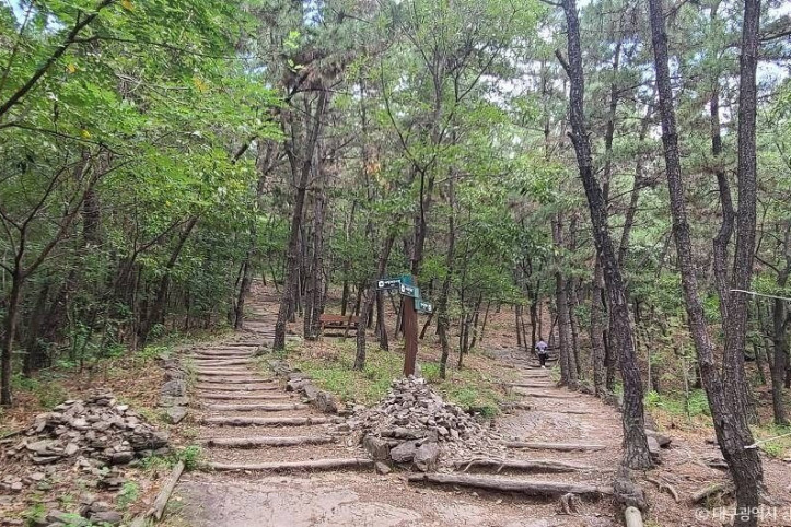 와룡산(대구) 여행 추천 - 메고지고
