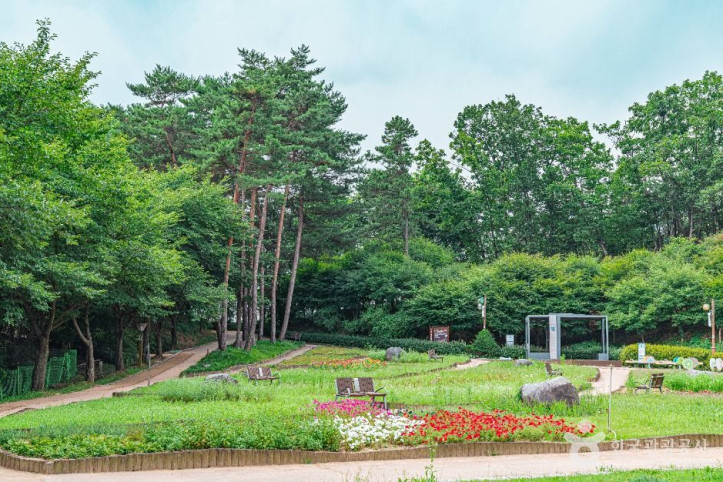 직동 근린공원 여행 추천 - 메고지고