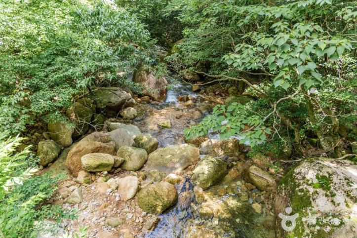 금릉경포대 여행 추천 - 메고지고