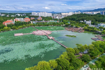경산 임당동과 조영동 고분군 여행 추천 - 메고지고