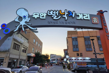 무안 청천리 팽나무와 개서어나무 숲 여행 추천 - 메고지고