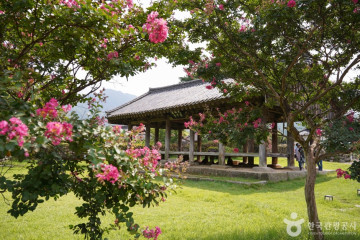 동산계곡 여행 추천 - 메고지고