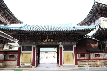 중앙해수랜드 여행 추천 - 메고지고