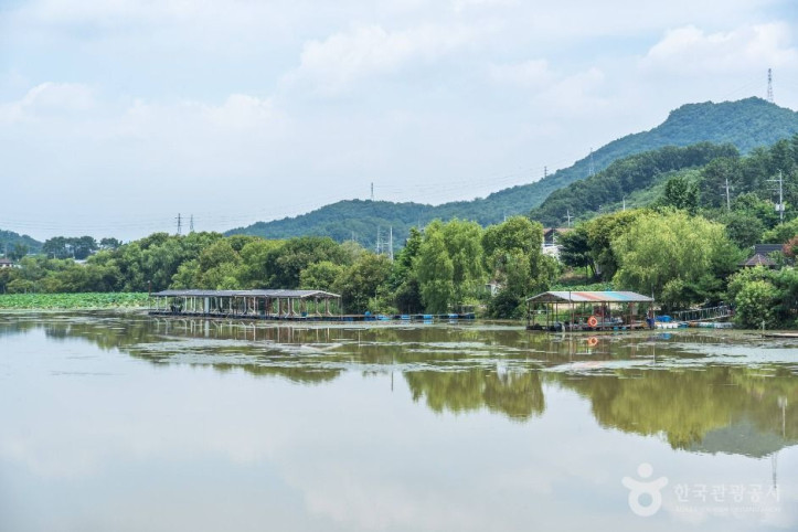 월랑저수지 여행 추천 - 메고지고