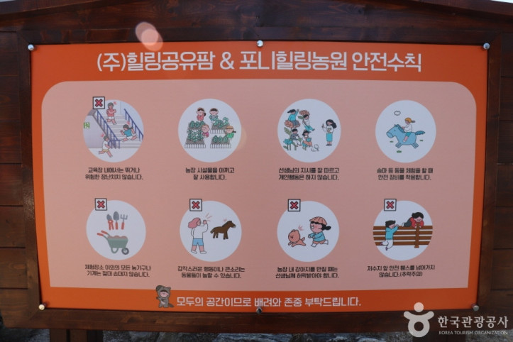 포니힐링관광농원 여행 추천 - 메고지고