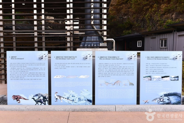 화순 서유리 공룡발자국화석 산지 여행 추천 - 메고지고