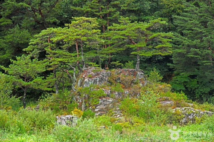 팔석정 여행 추천 - 메고지고