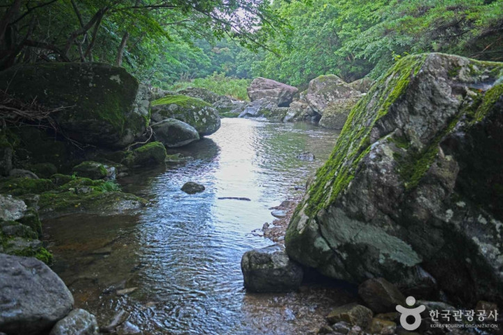 남창계곡 여행 추천 - 메고지고