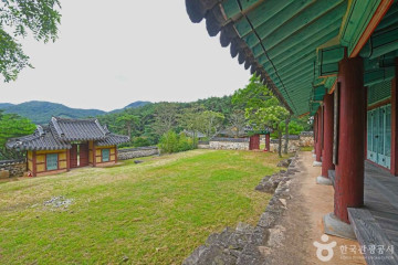 불갑저수지 수변공원 여행 추천 - 메고지고