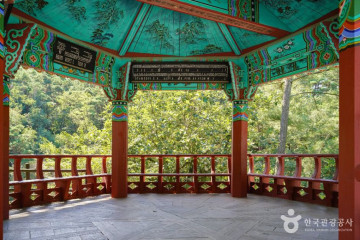 용궁마을 여행 추천 - 메고지고