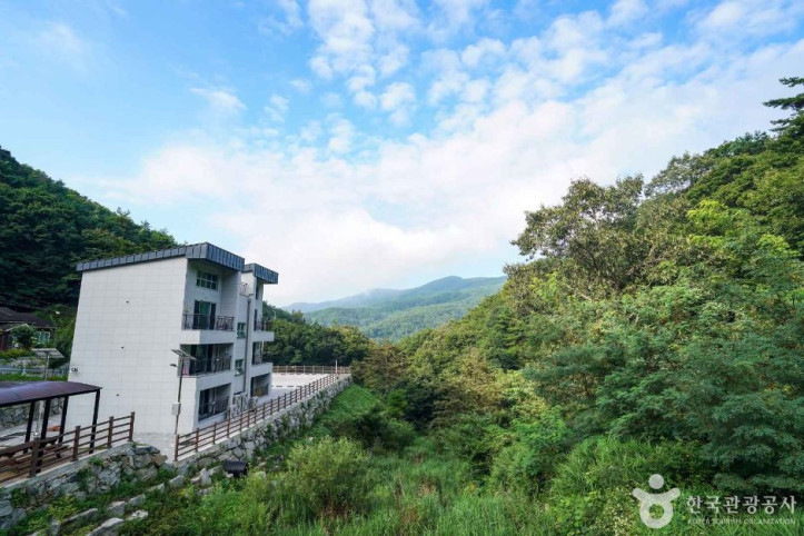 산삼 자연휴양림 여행 추천 - 메고지고