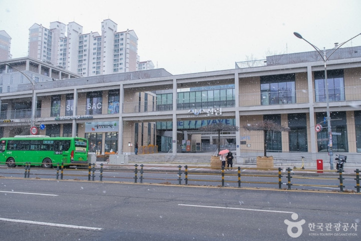 스페이스살림 여행 추천 - 메고지고