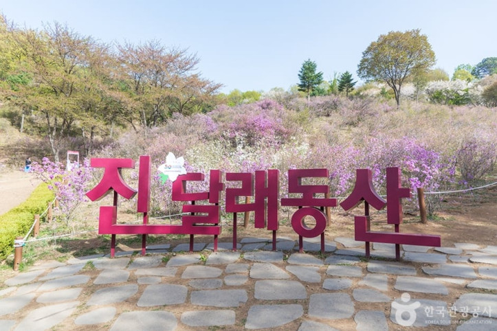 진달래동산 여행 추천 - 메고지고