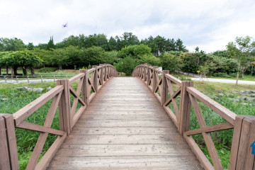 추암해변 여행 추천 - 메고지고