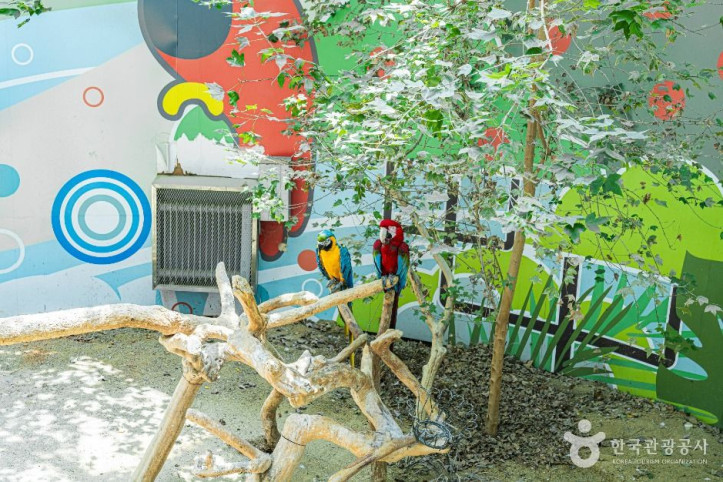 광주 우치공원 동물원 여행 추천 - 메고지고