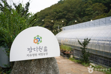 진밭골산림공원 여행 추천 - 메고지고