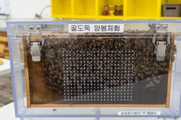 국조전(칠곡) 여행 추천 - 메고지고