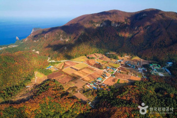 알봉 (울릉도, 독도 국가지질공원) 여행 추천 - 메고지고