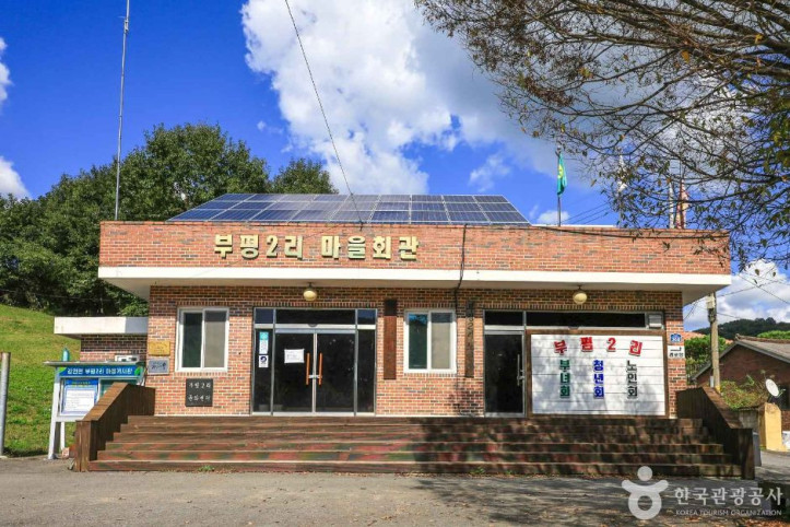 여주 해바라기마을 여행 추천 - 메고지고