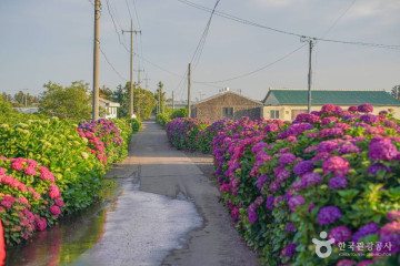 제주곶자왈도립공원 여행 추천 - 메고지고