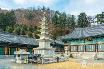 정혜사(순천) 여행 추천 - 메고지고