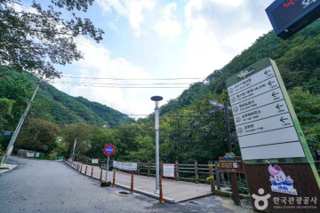 강씨봉 자연휴양림 여행 추천 - 메고지고