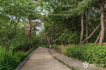 몽마르뜨공원 여행 추천 - 메고지고