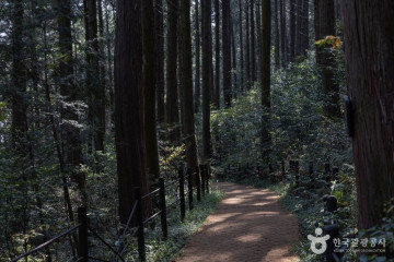 미륵산(통영) 여행 추천 - 메고지고