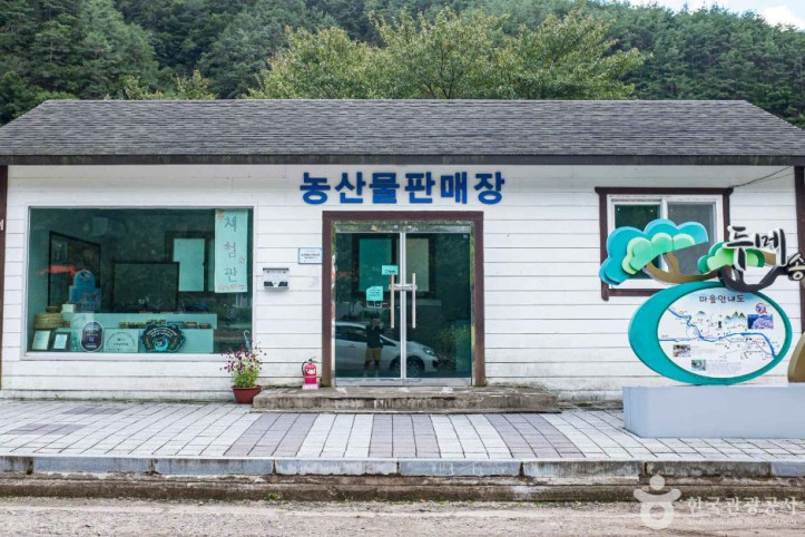 영양 두메송하마을 여행 추천 - 메고지고