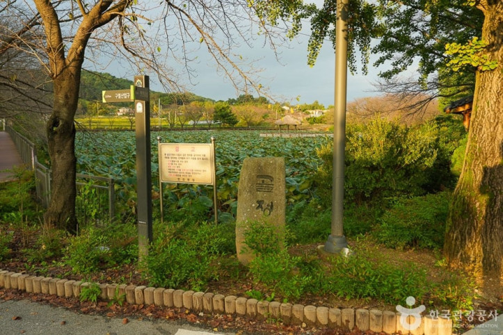 골정 저수지 여행 추천 - 메고지고