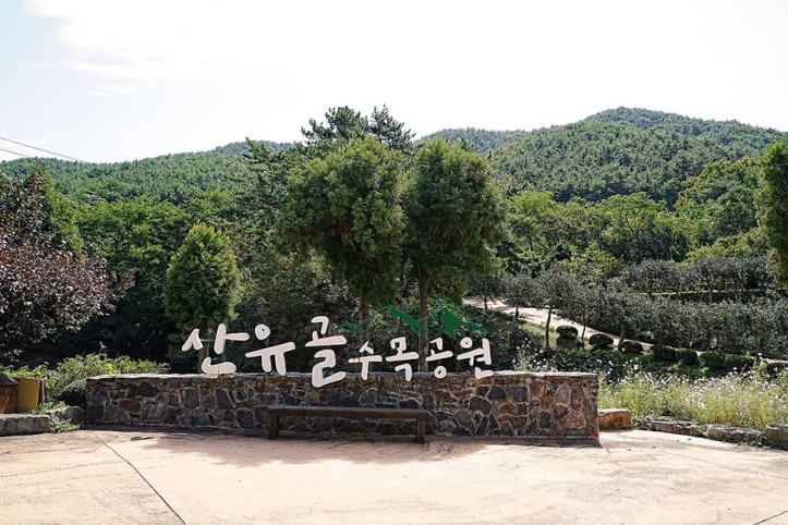 산유골수목공원 여행 추천 - 메고지고