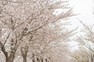 강릉수월래 여행 추천 - 메고지고
