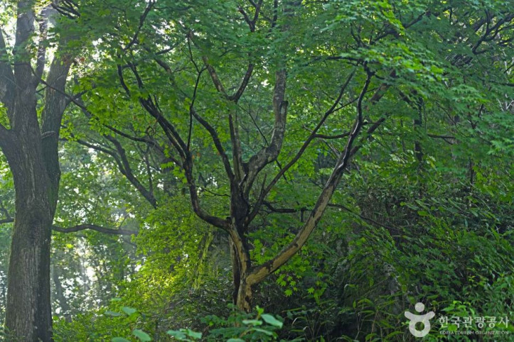 상이암(임실) 여행 추천 - 메고지고