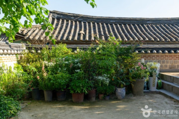 안국선원(서울) 여행 추천 - 메고지고