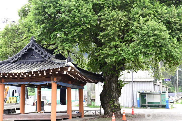 지내들옹기돌탑공원 여행 추천 - 메고지고